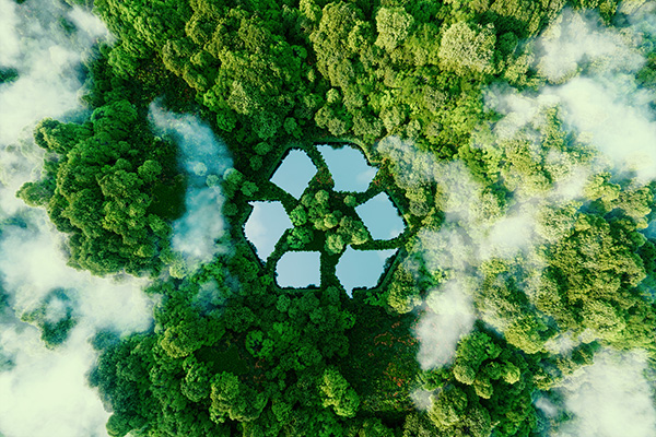 sustainable materias